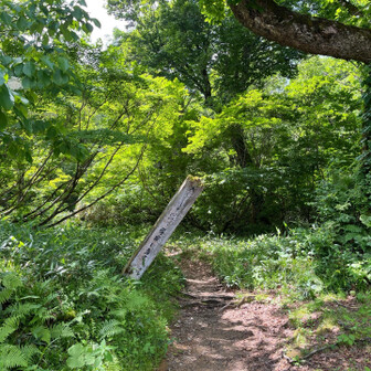 薬師岳登山口