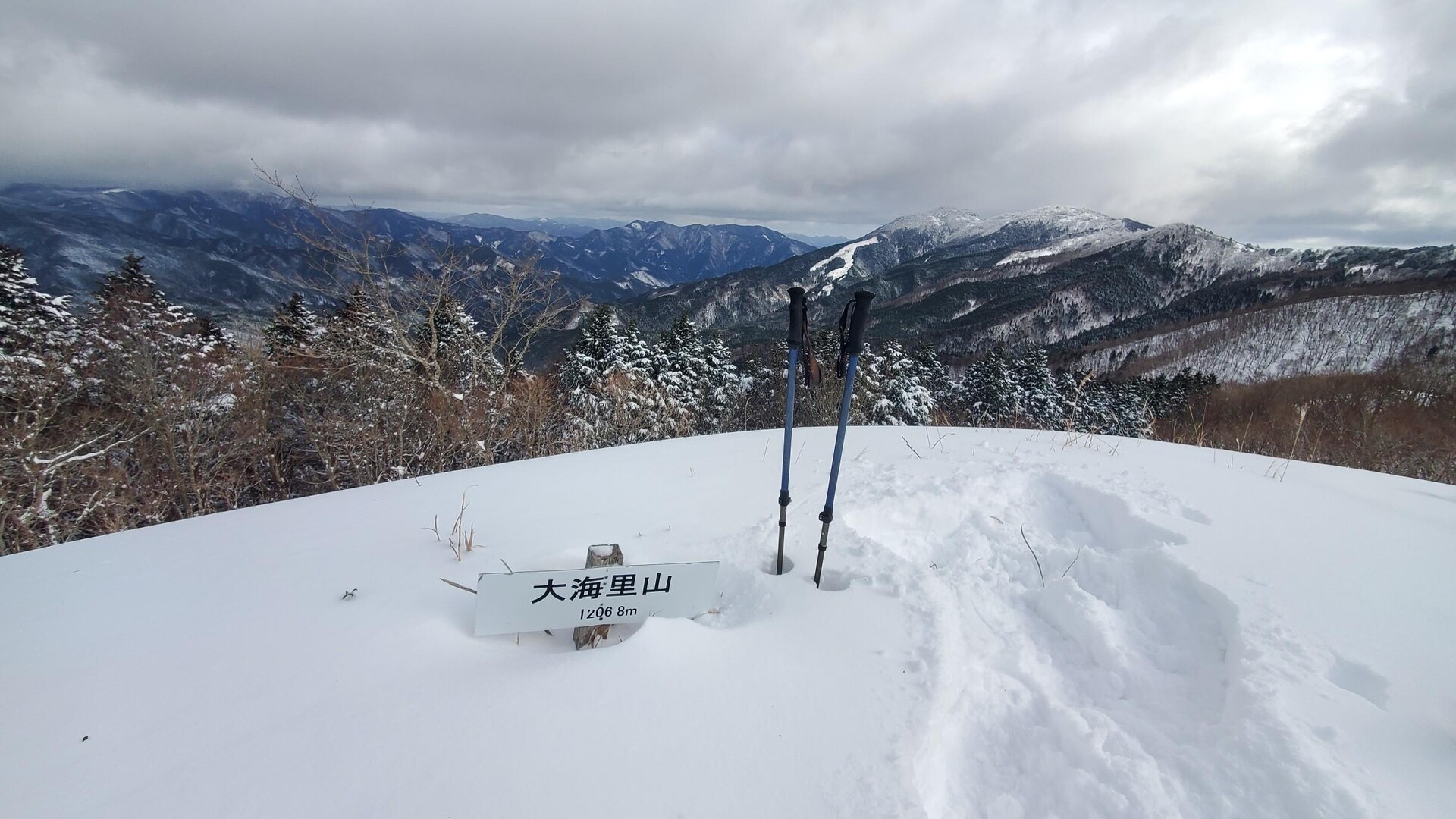 なんちゃってBC ダルガ峰・大海里山 / hirobonさんの沖ノ山・若杉原生林（若杉天然林）の活動データ YAMAP / ヤマップ