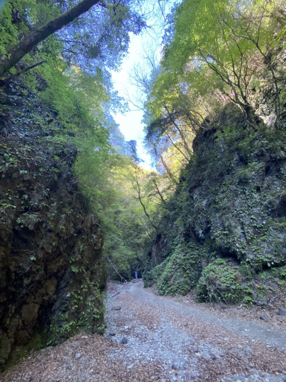 金剛の滝 今熊山ランチ 小峰公園 武蔵五日市駅 大岳山 御岳山 御前山の写真21枚目 見えた Yamap ヤマップ