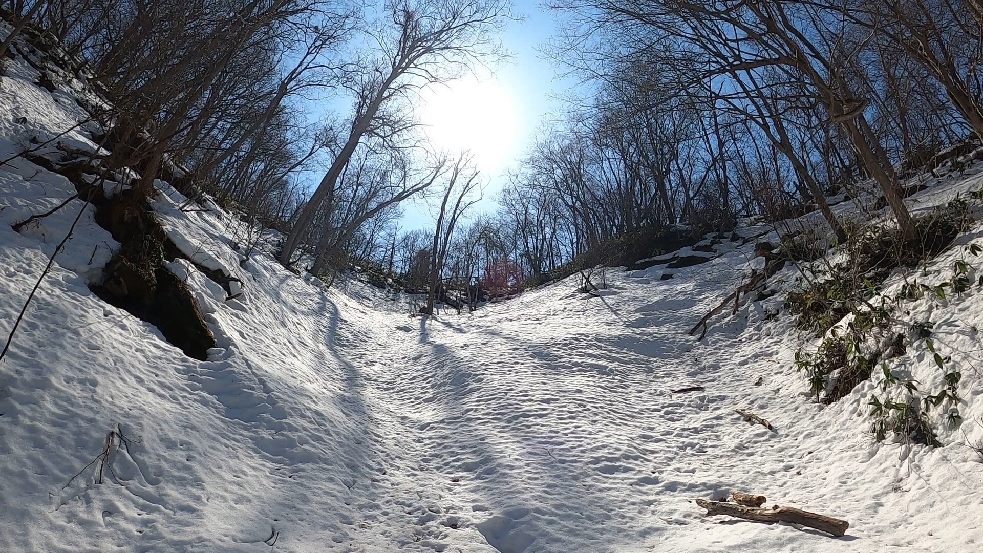 雪解け間近の藻岩山 04 04 わたさんさんの藻岩山の活動データ Yamap ヤマップ