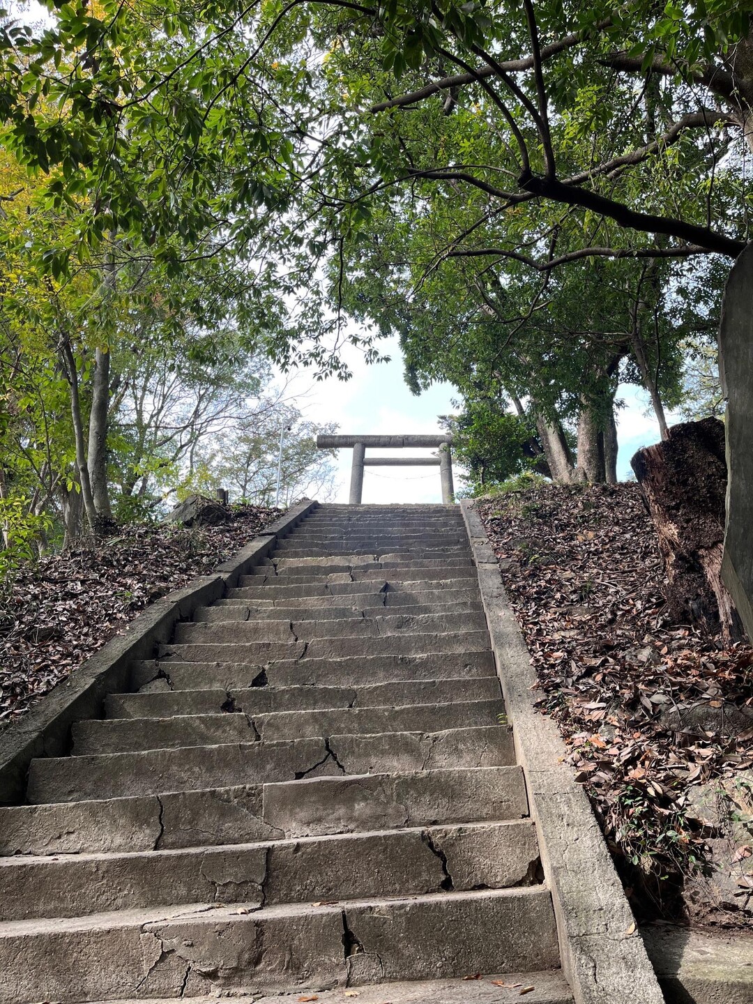 秋の両崖山ウォーキング20231104 / taniさんのウォーキングの活動データ YAMAP / ヤマップ