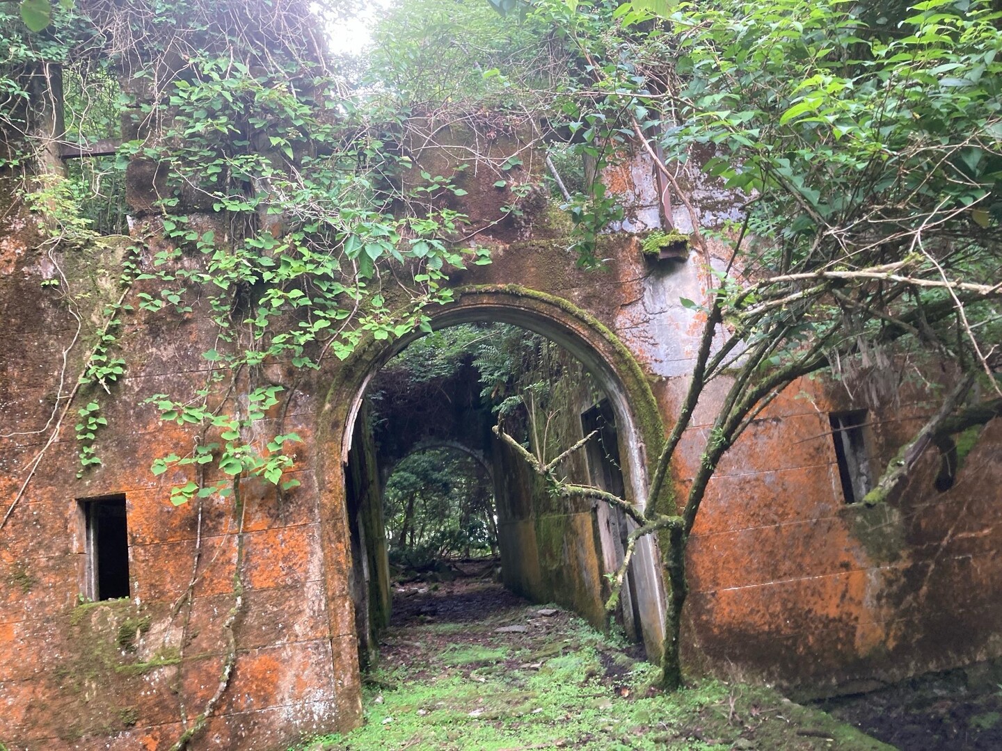 比叡山 廃墟も / tadaCさんの京都一周トレイルの活動データ YAMAP / ヤマップ