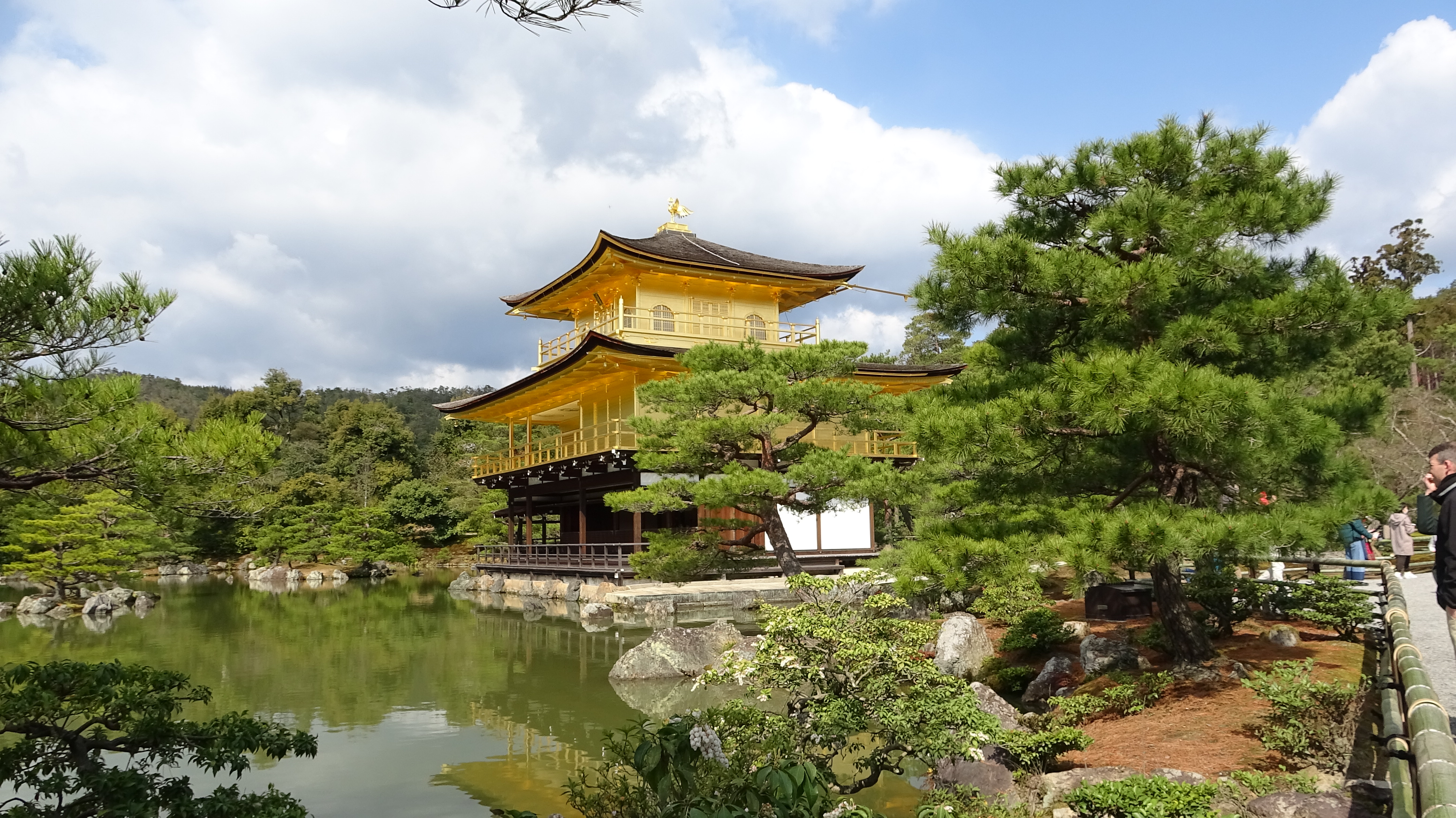 京都の春 金閣寺 Cat Ministerさんの京都市の活動日記 Yamap ヤマップ