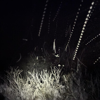 なかなかですよぉ⛄️🌀