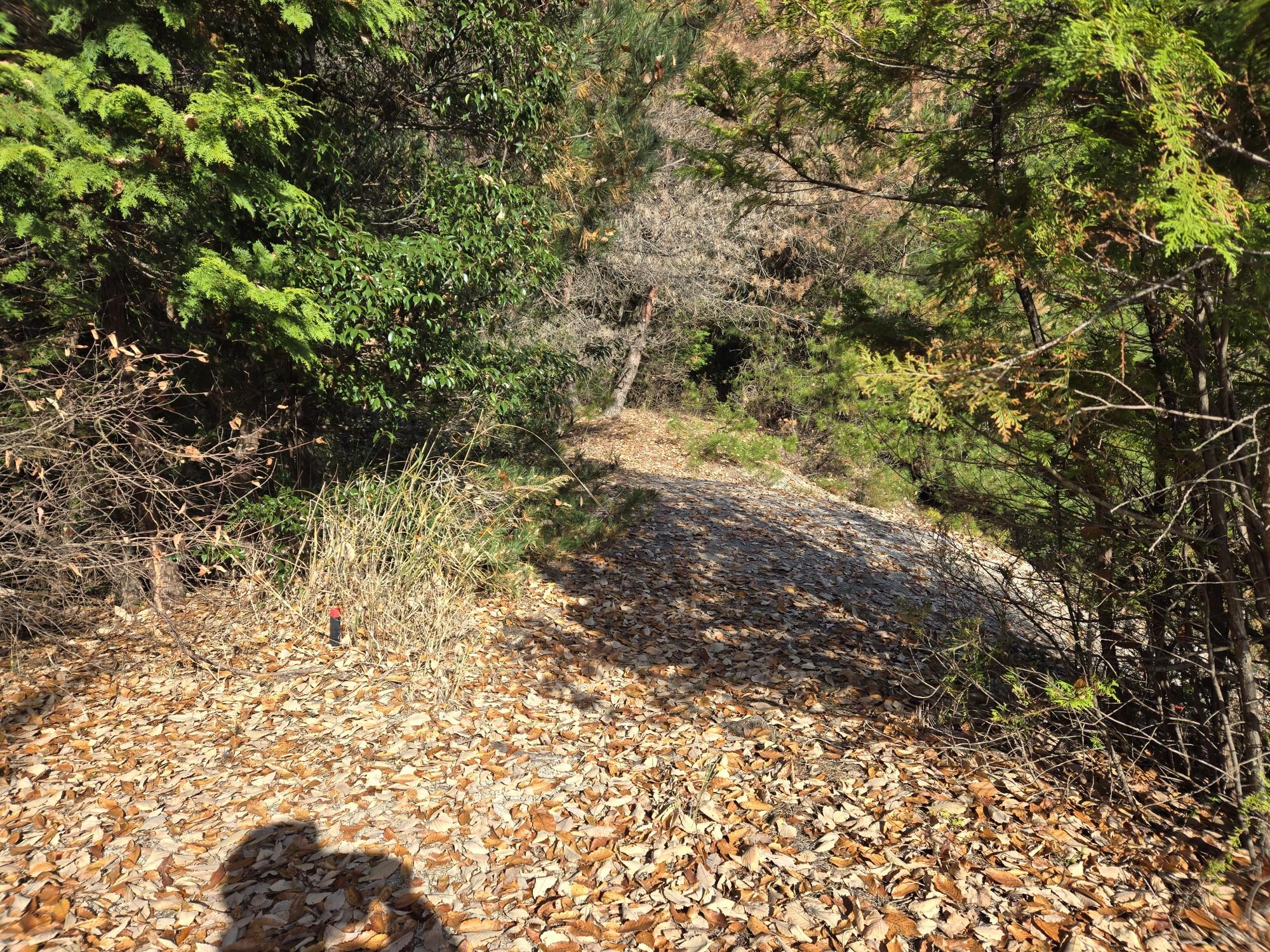 三輪山・巻向山・龍王山 進行方向です❗。