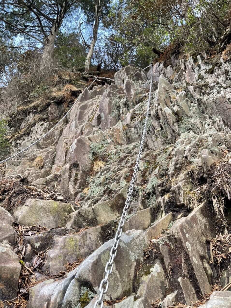 ぱぱっちさんの投稿したフィールドメモ Yamap ヤマップ