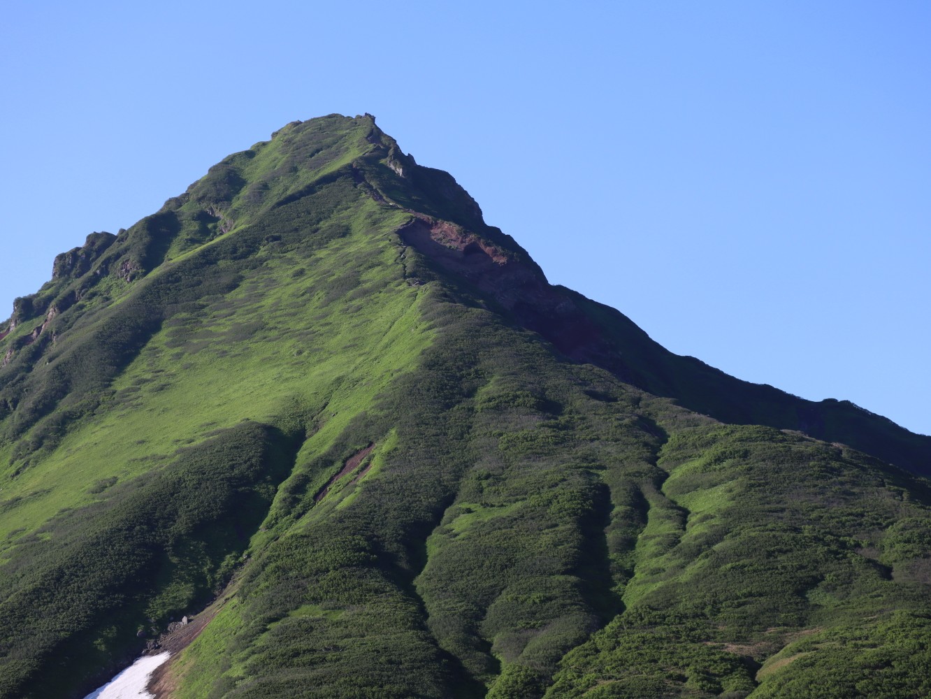 北海道遠征6座目は海に浮かぶ孤高の名峰 利尻山 せなっちょさんの利尻島 利尻山の活動日記 Yamap ヤマップ