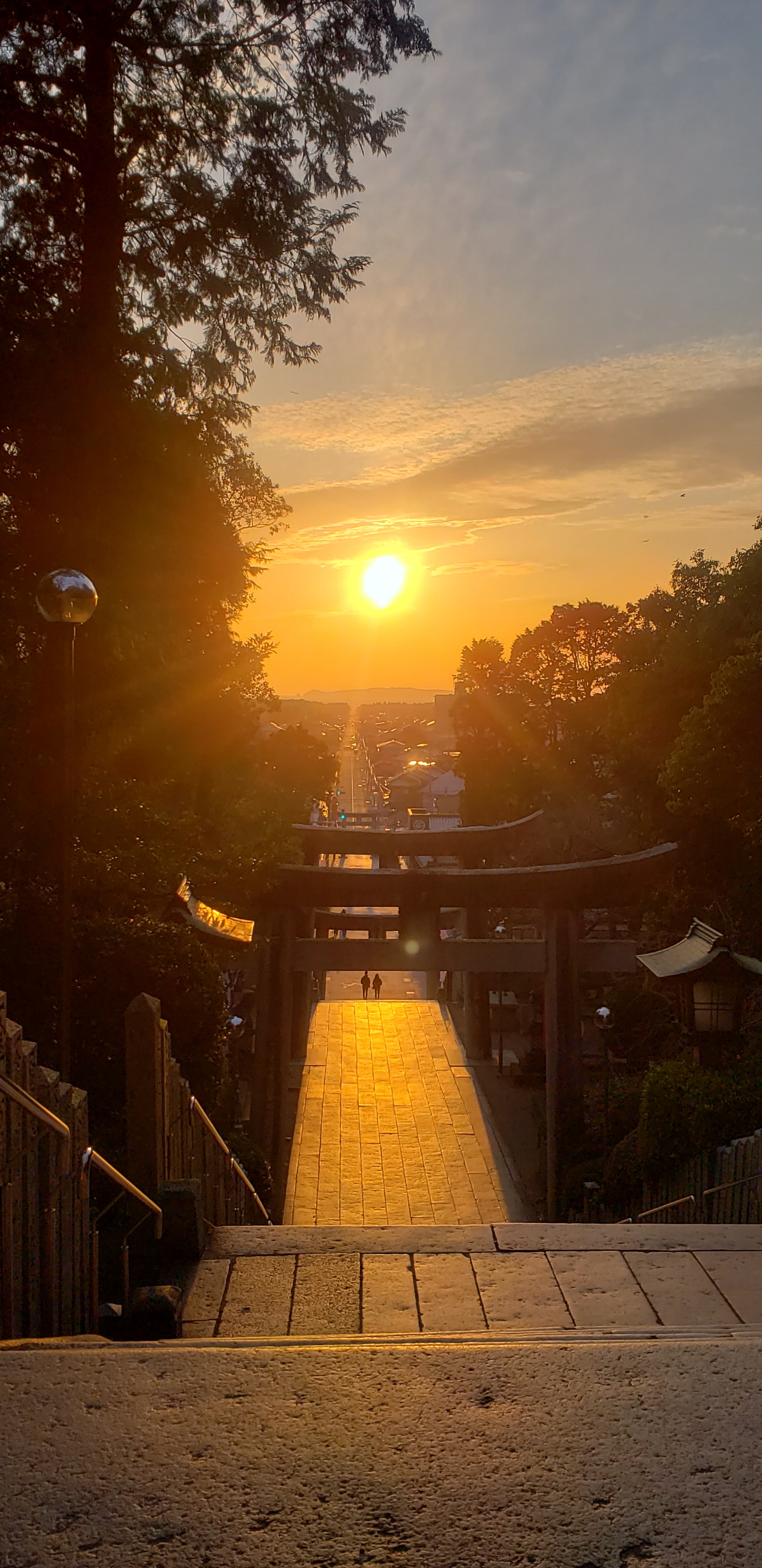 宮地嶽神社 光の道 03 04 こうちゃんさんの宮地山 在自山の活動日記 Yamap ヤマップ