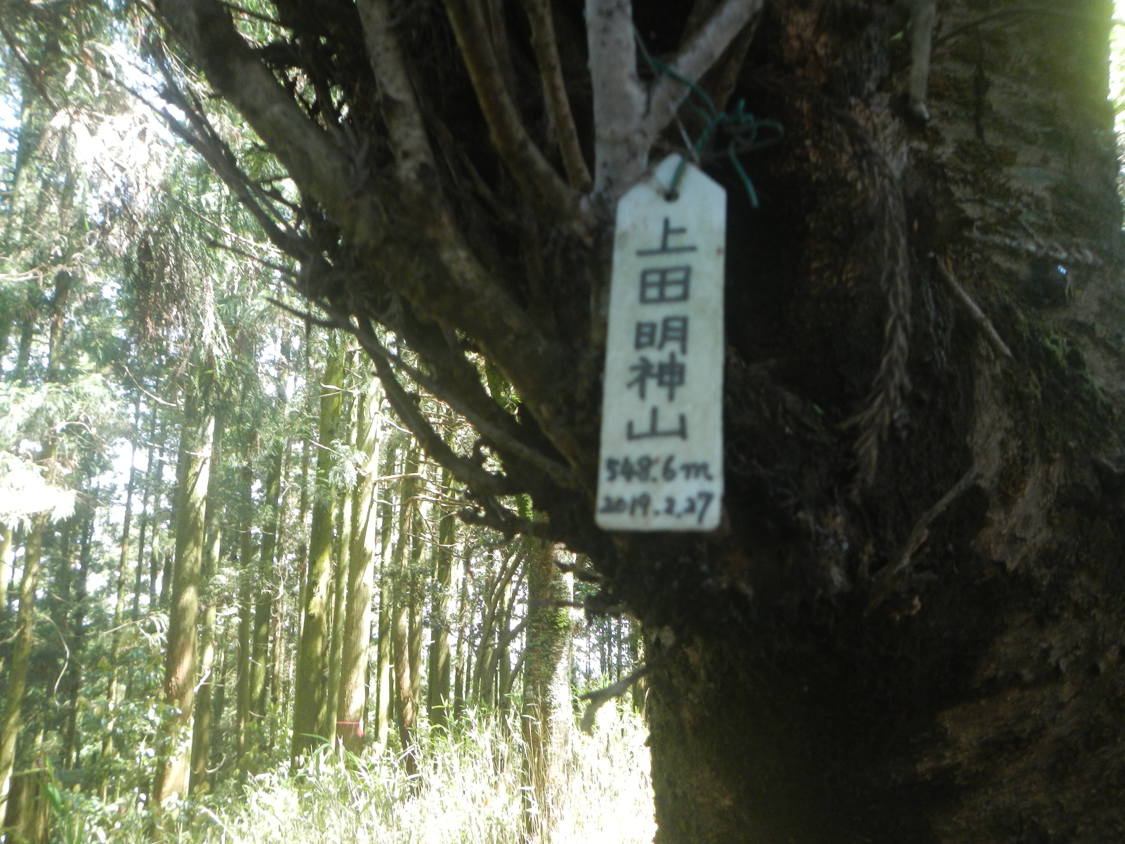 上田明神山 チロさんの三次市 東エリア の活動データ Yamap ヤマップ