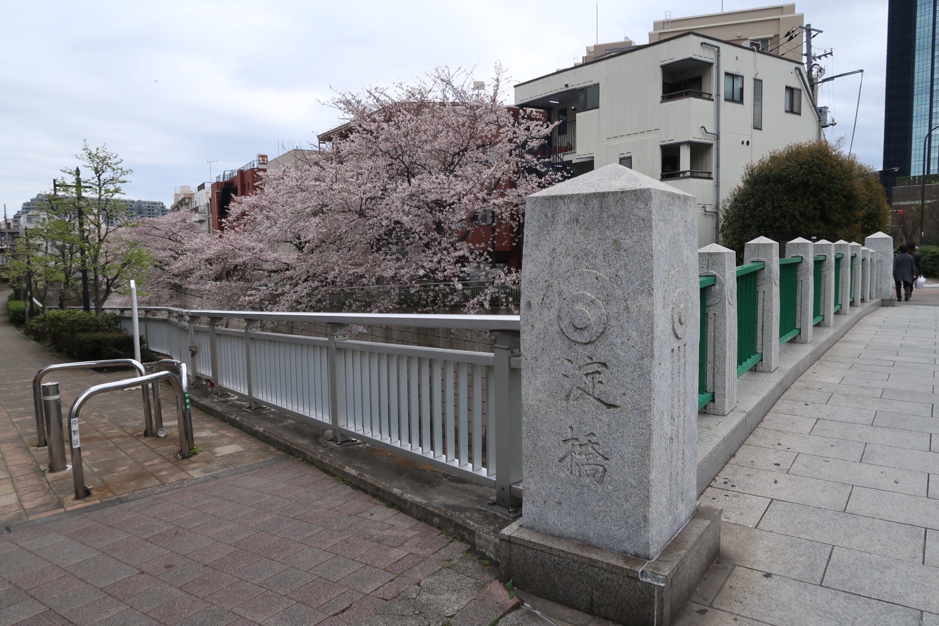神田川遊歩道 箱根山 03 28 ルシアンさんの東京都23区 北エリアの活動日記 Yamap ヤマップ