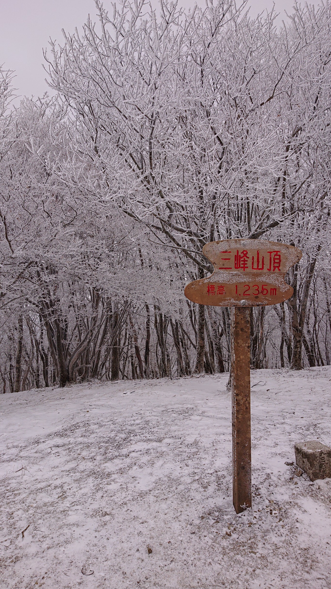 三峰山霧氷祭り なまこ師匠さんの三峰山 学能堂山の活動データ Yamap ヤマップ