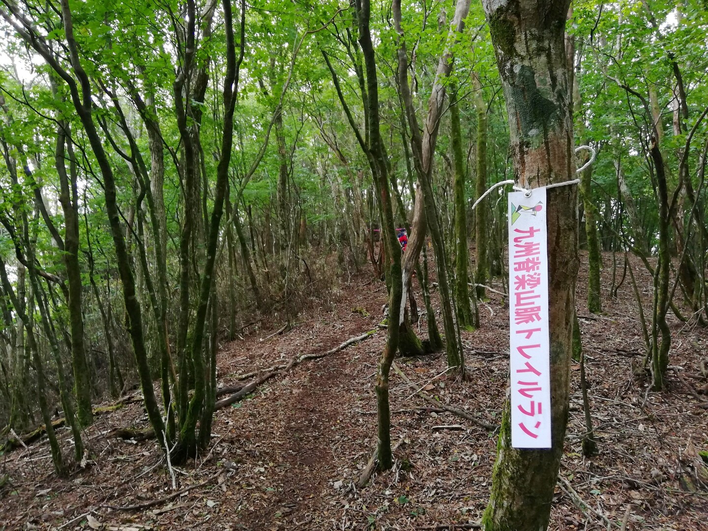 九州脊梁山脈トレイルラン In 山都町 19 09 29 Masa Tachiokaさんの九州脊梁山脈トレイルラン In 山都町の活動データ Yamap ヤマップ