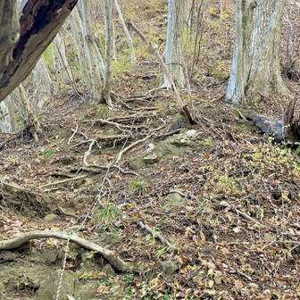 落石に注意して、頂上へさぁ行くぞ！