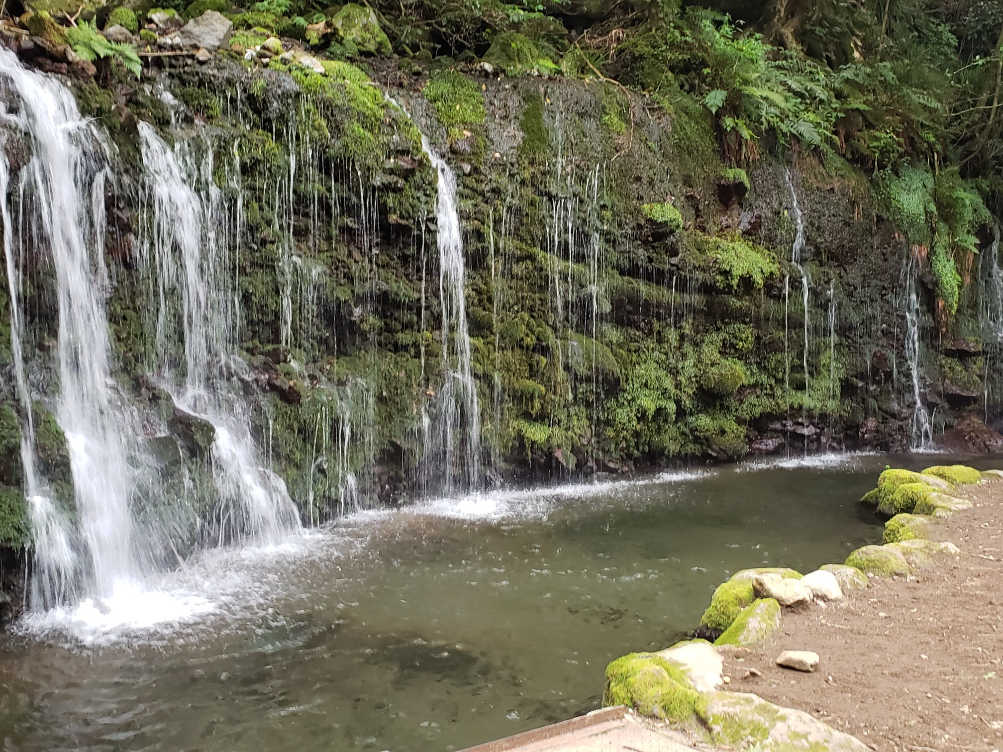 飛龍の滝と千丈の滝 箱根 鷹巣山 浅間山 もじゃさんさんの箱根山 神山の活動データ Yamap ヤマップ