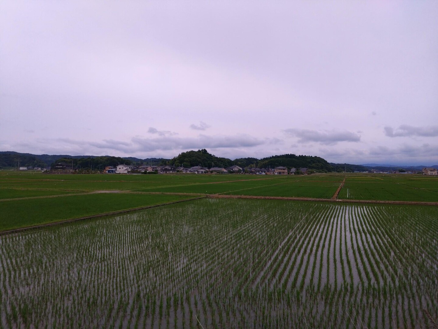 061523 上山田貝塚・茶臼山 / LONGOVERDUEさんの金沢市の活動データ YAMAP / ヤマップ