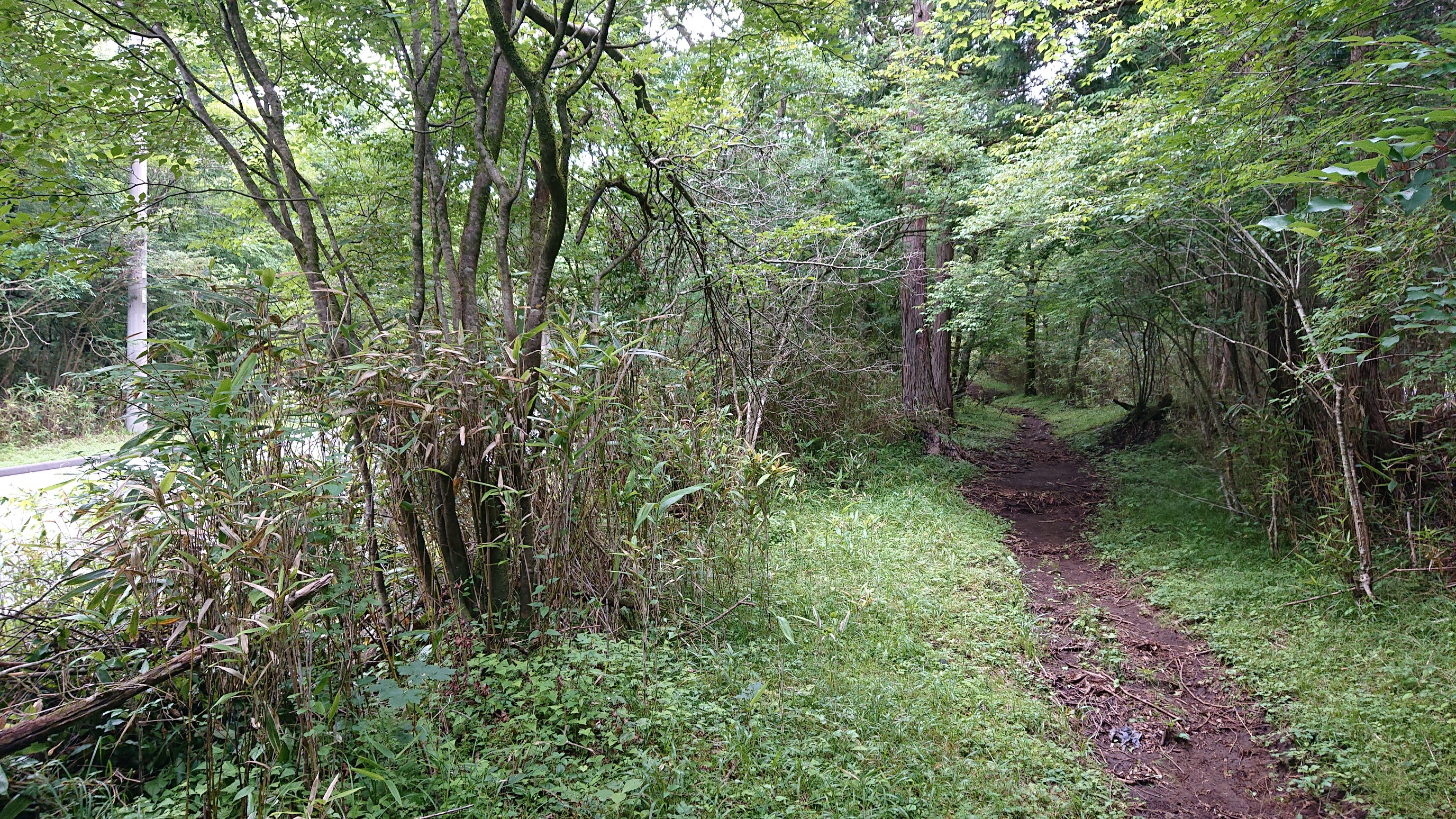 富士山 南口下宮須山浅間神社を起点に須山口登山歩道を辿り富士詣 19 07 21 07 22 ふじ爺さんの富士山の活動日記 Yamap ヤマップ