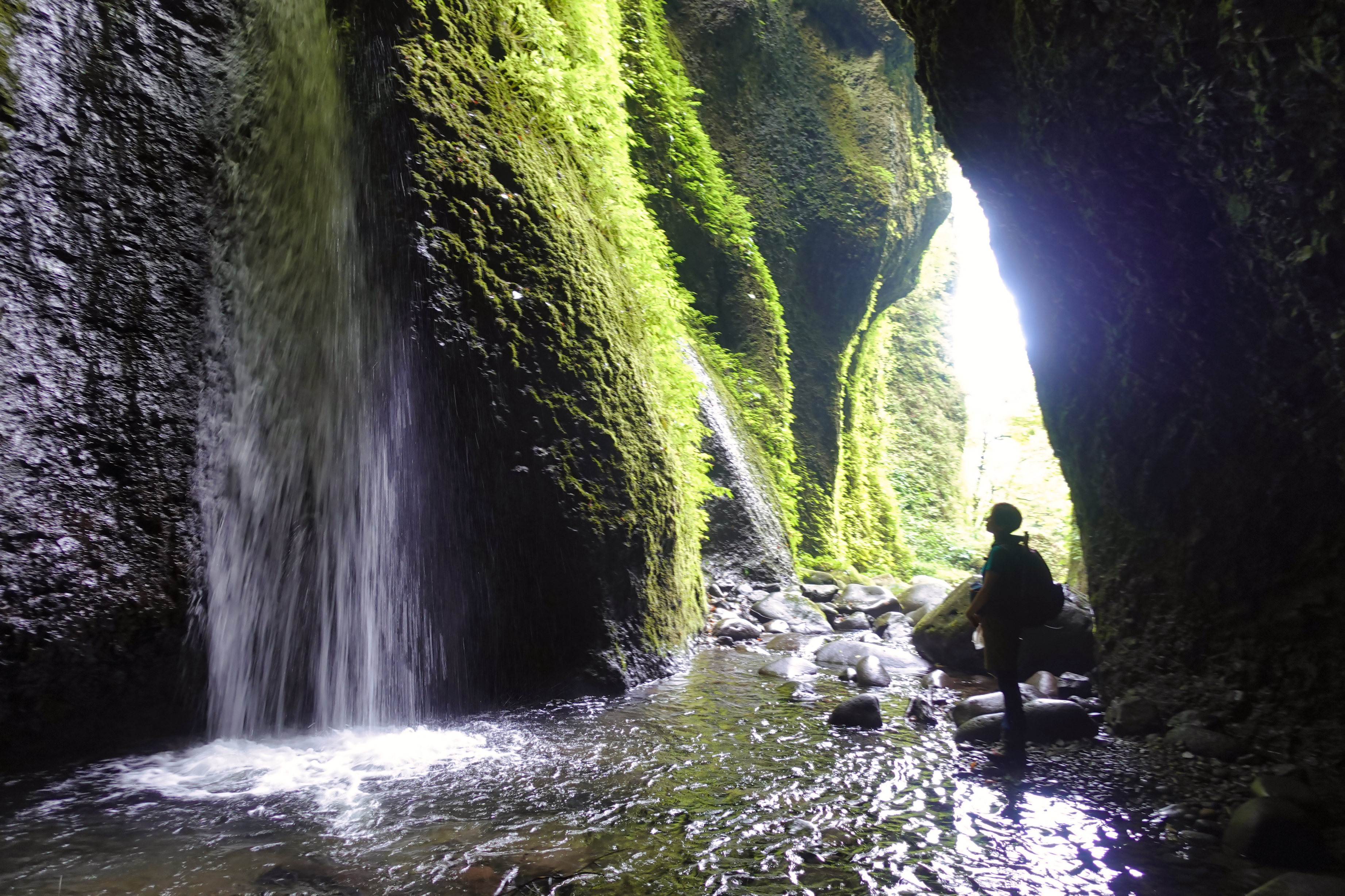 充実の但馬滝三種盛り 猿壺の滝 桂の滝 シワガラの滝 Persさんの扇ノ山の活動日記 Yamap ヤマップ