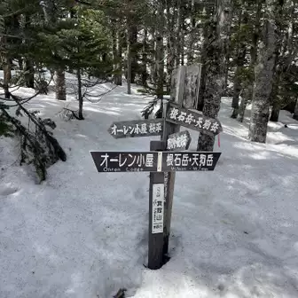 箕冠山登って(๑˃̵ᴗ˂̵)欲張りルートで夏沢峠へ
中山峠よりはズボリマシだったけど
まあまあズボリます😂