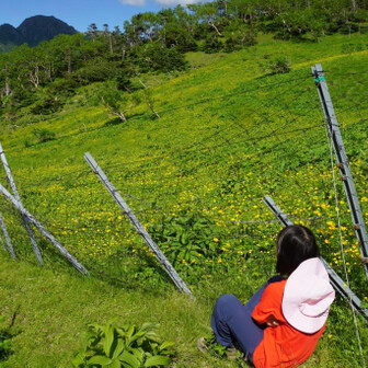 もえのページ YAMAP / ヤマップ