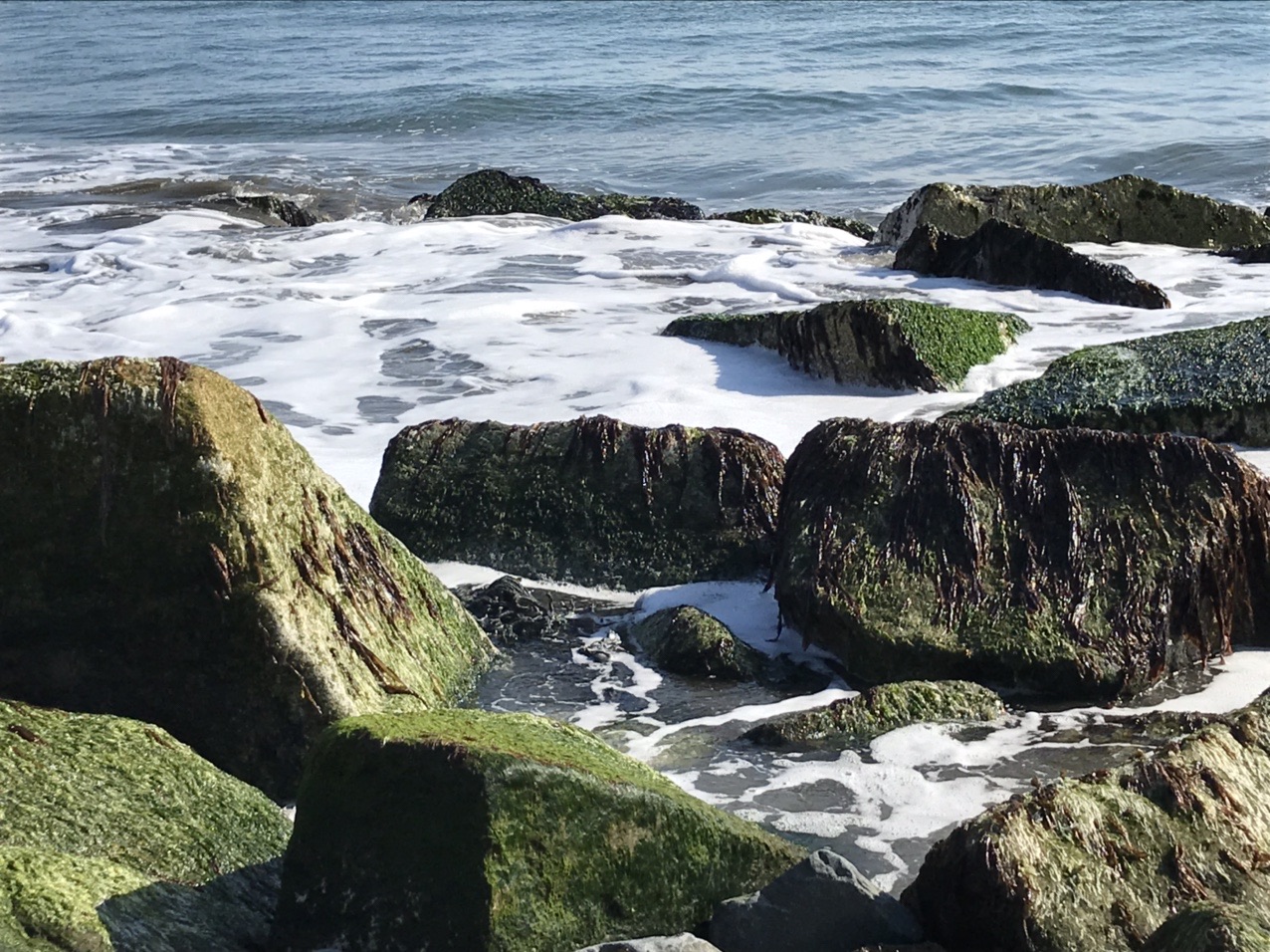 大洗海岸お散歩 ウォーキング 21 02 11 黒ネコさんのウォーキングの活動日記 Yamap ヤマップ