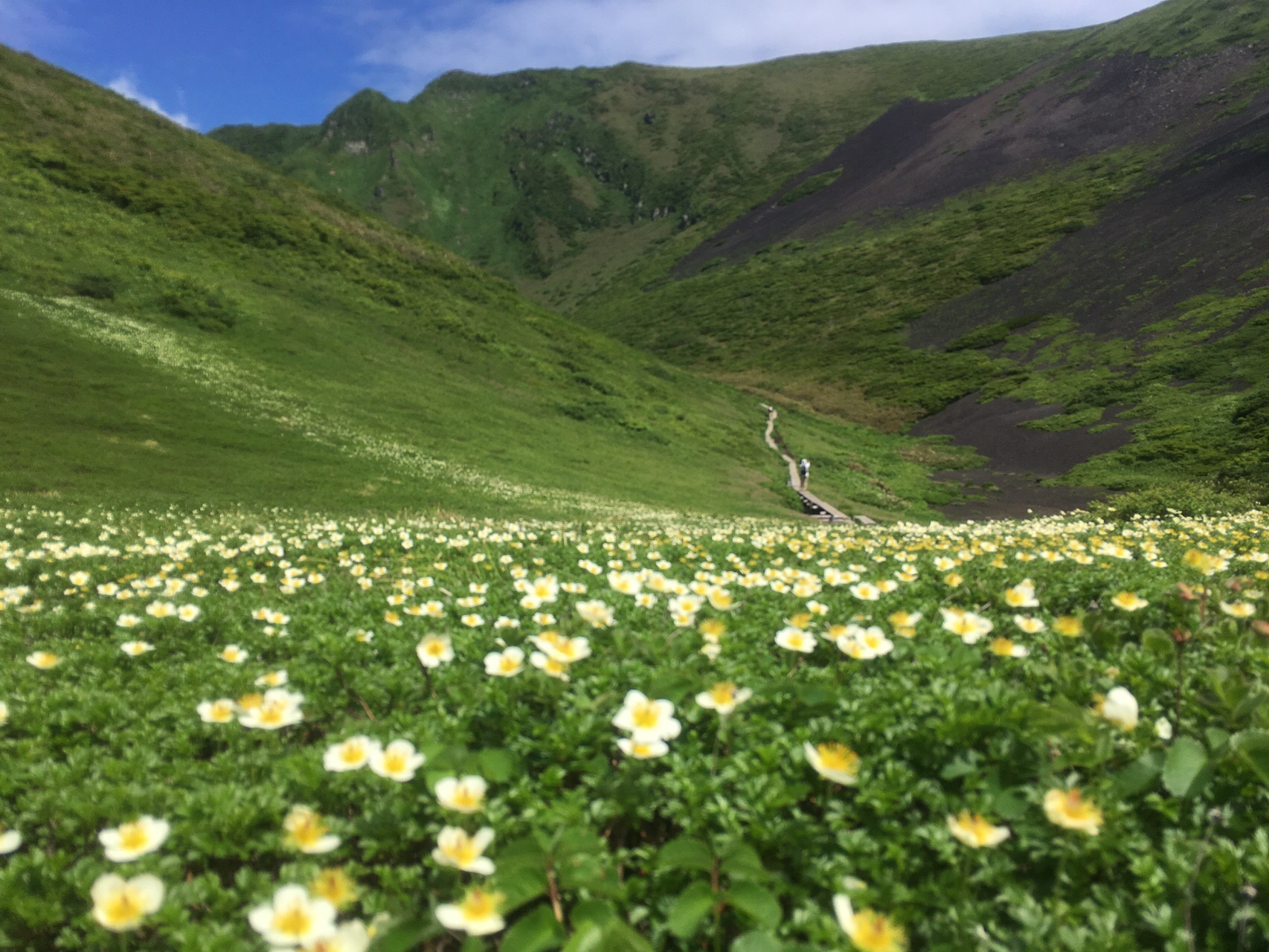 秋田駒ヶ岳 ムーミン谷 おいちゃん さんの秋田駒ヶ岳 男女岳 貝吹岳の活動データ Yamap ヤマップ