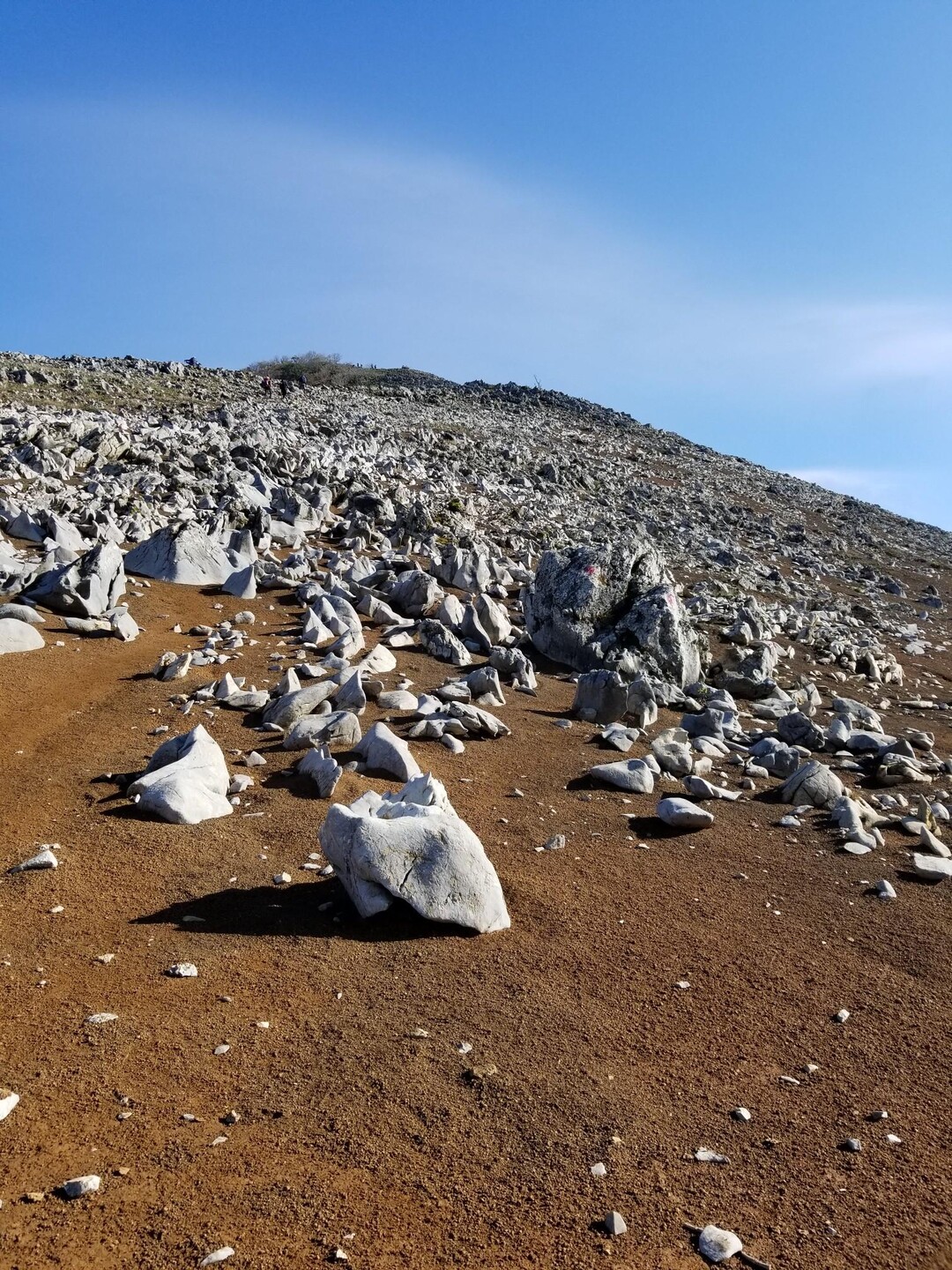 霊仙山最高点・霊仙山 / ruminoさんの霊仙山の活動データ YAMAP / ヤマップ