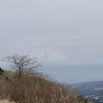 天城山・鉢ノ山・三筋山 伊豆スカイラインからうっすら富士山、すぐ隠れる