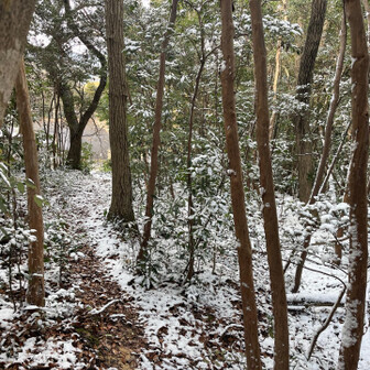 御伊勢山・雨乞山・相原山 アスファルトが見えて一安心。