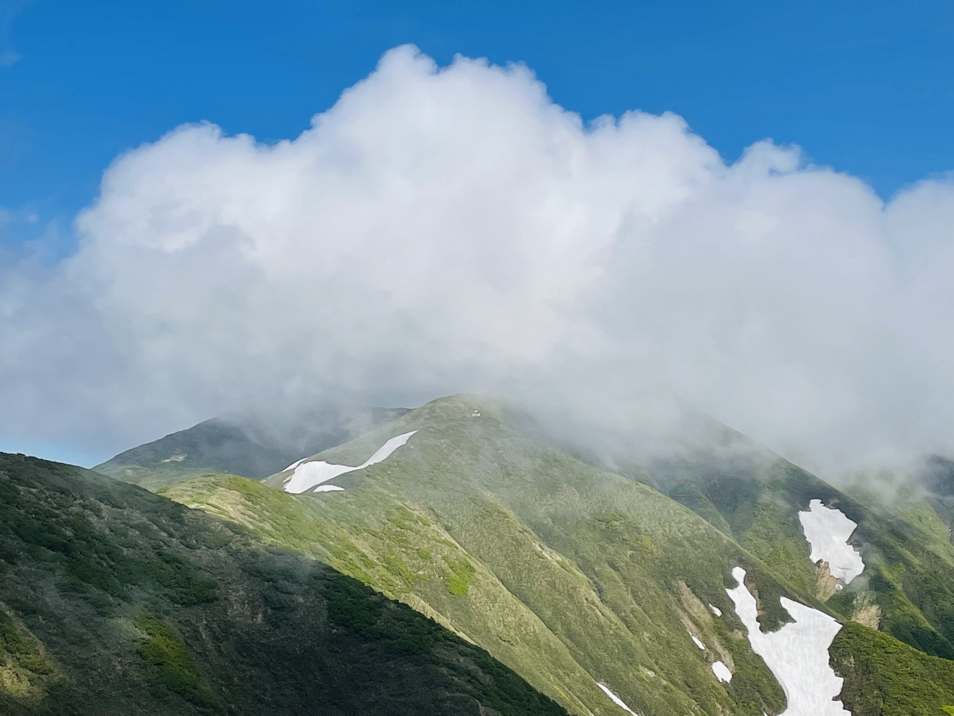 タモギ小屋見えた！（いいから歩け！
どのタイミングだったか、かるちよさんとじんるいさんにお会いしました。
