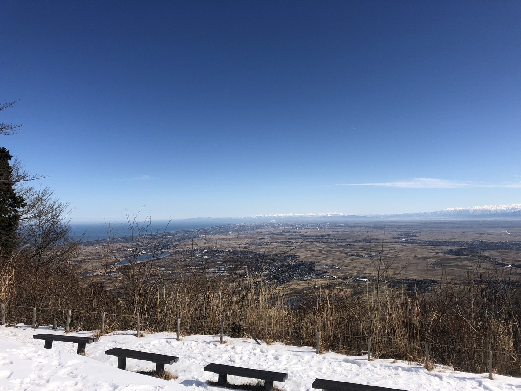 あまりにも天気が良かったので角田山 ひなさんの角田山の活動データ Yamap ヤマップ