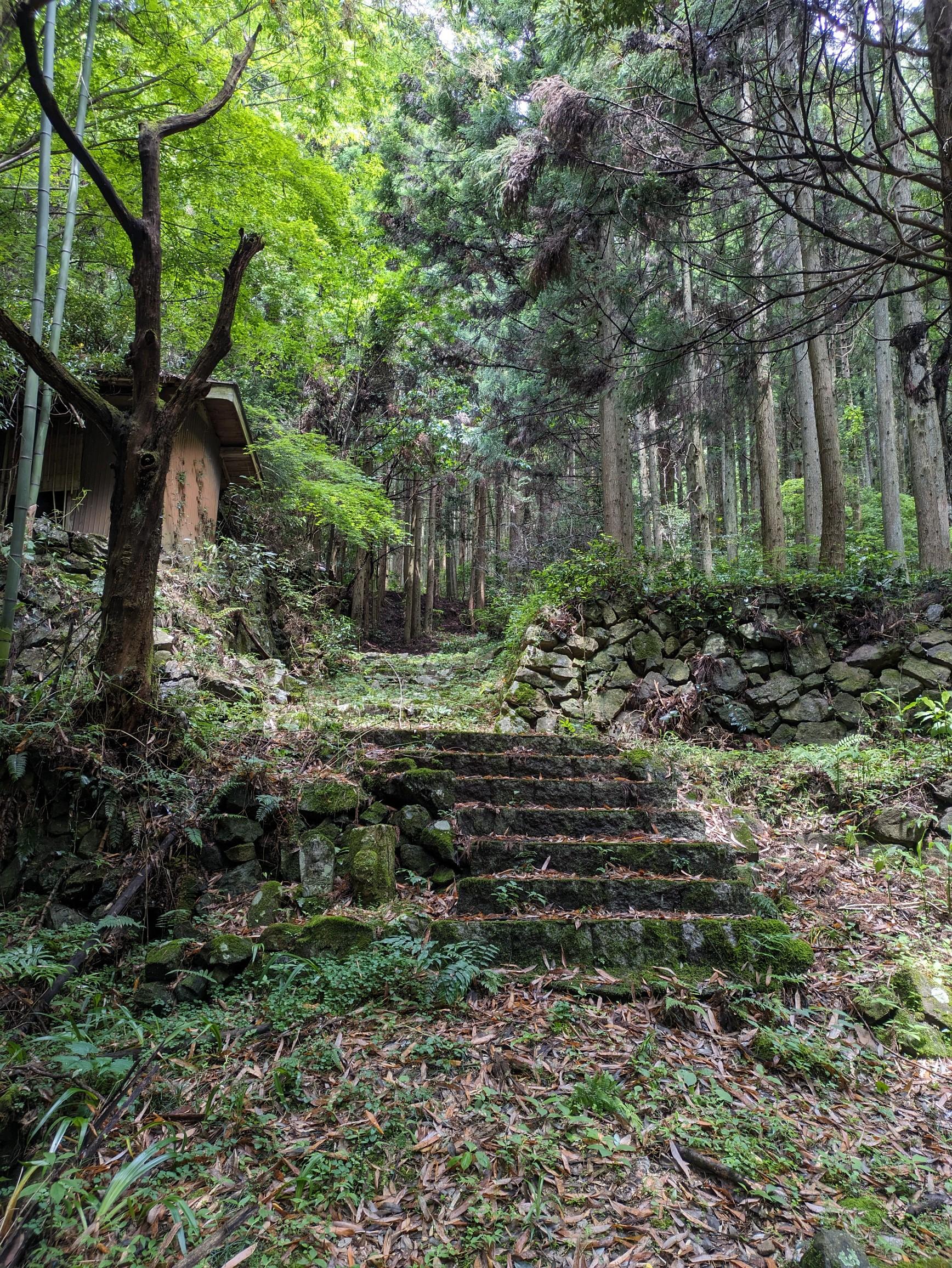 成君寺山 / ガクガクさんの成君寺山の活動データ YAMAP / ヤマップ