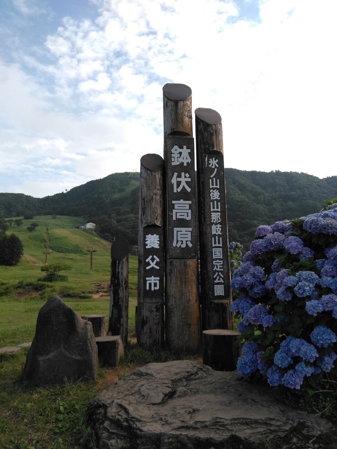 高原 天気 ハチ