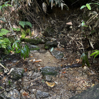 え、ちっちゃい川！でもキンキンに冷えてる
湧水らしいがそのまま飲み水とするには心配なのでタオルを濡らすだけに
結構急登なので行かなくて良かったかも
