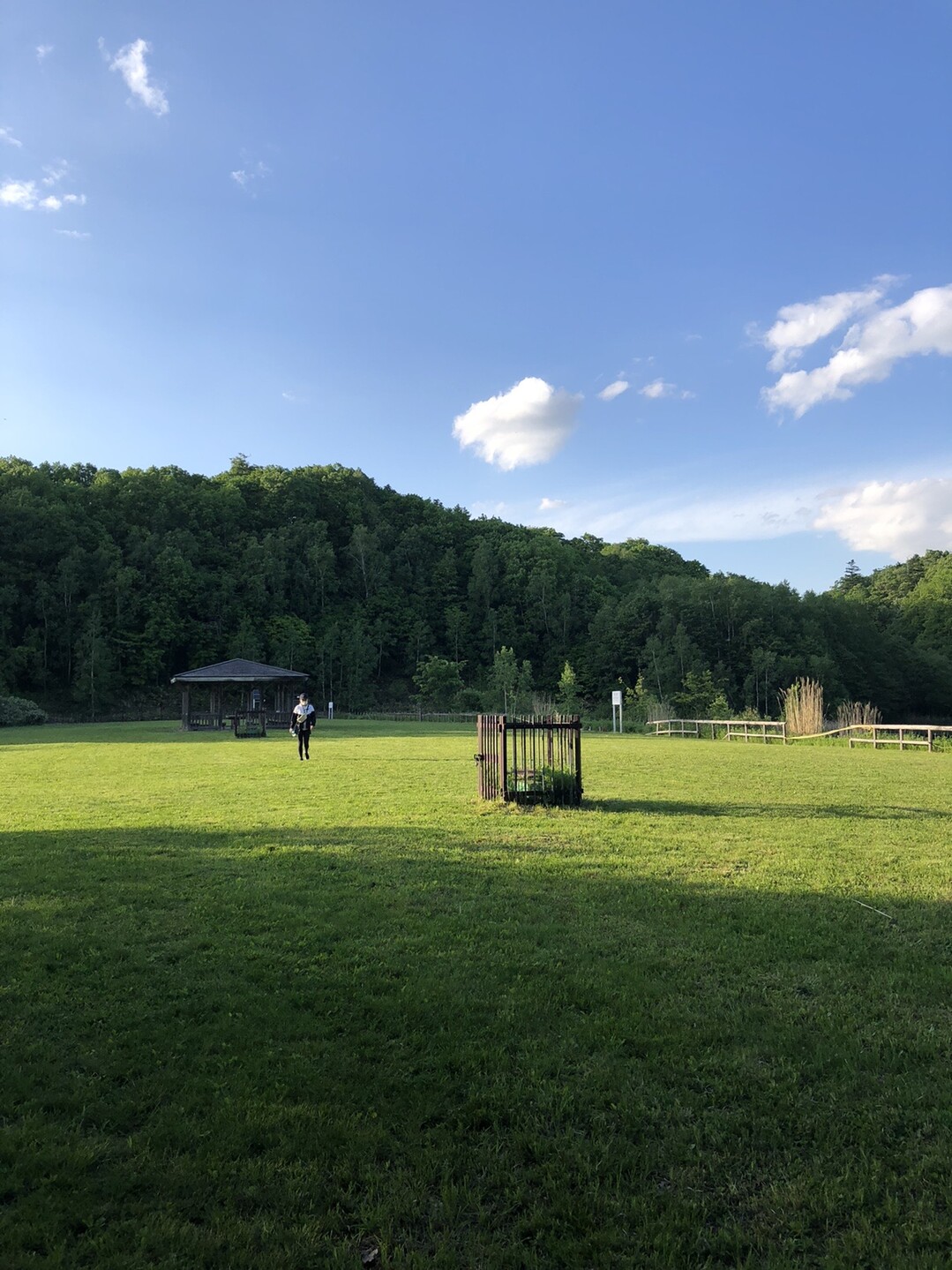 0602野幌森林公園 夕刻ハイク 西四号線ー中央線 瑞穂連絡線 Yamakichi6さんの野幌森林公園の活動日記 Yamap ヤマップ