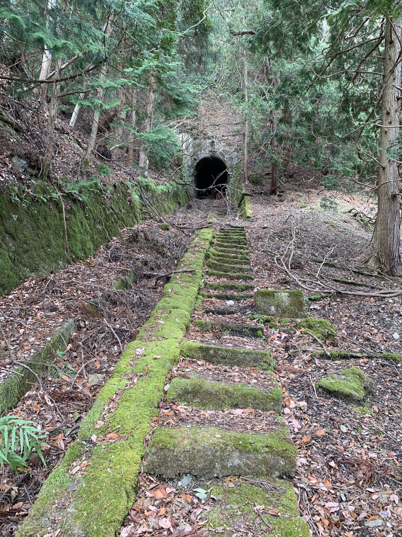 愛宕山ケーブルカー廃線ルート ねこやまさんの愛宕山 三頭山 朝日峯の活動データ Yamap ヤマップ