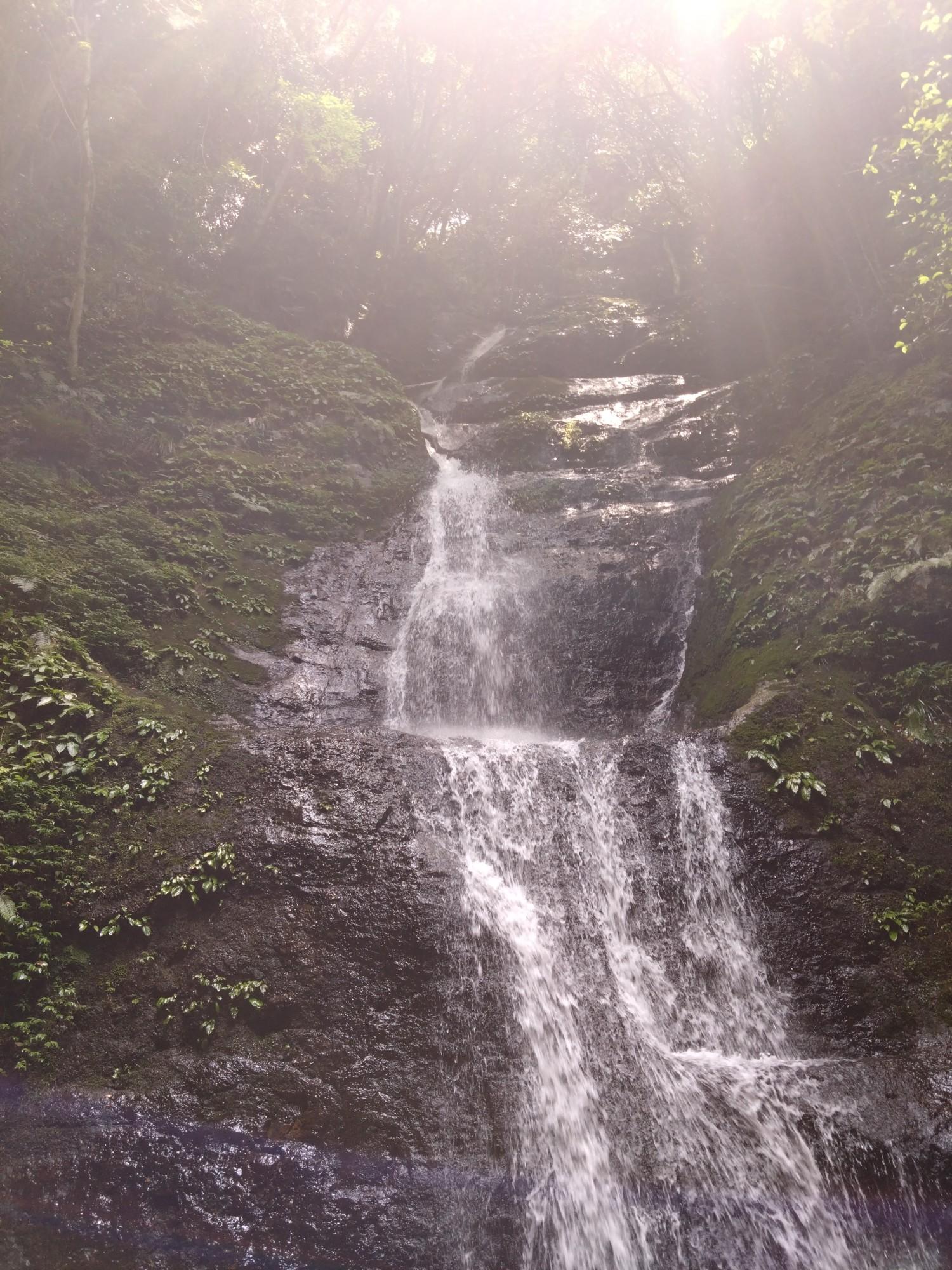 八ヶ丸山・奥槇尾山 / のびろうさんの槇尾山（槙尾山）・和泉葛城山・神於山の活動データ YAMAP / ヤマップ