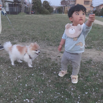 サリー