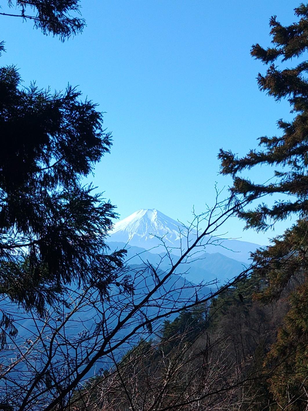 登り初めも、富士山を拝みに扇山、百蔵山 / KOROさんの百蔵山・扇山・権現山の活動データ | YAMAP / ヤマップ