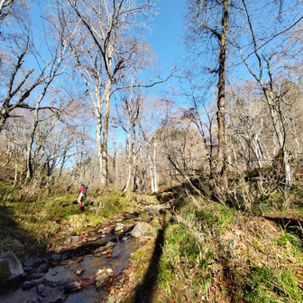 左門岳 この辺は、左の主稜線が最も低くなる場所です。どんな地形かと思って楽しみにしてきましたが・・・