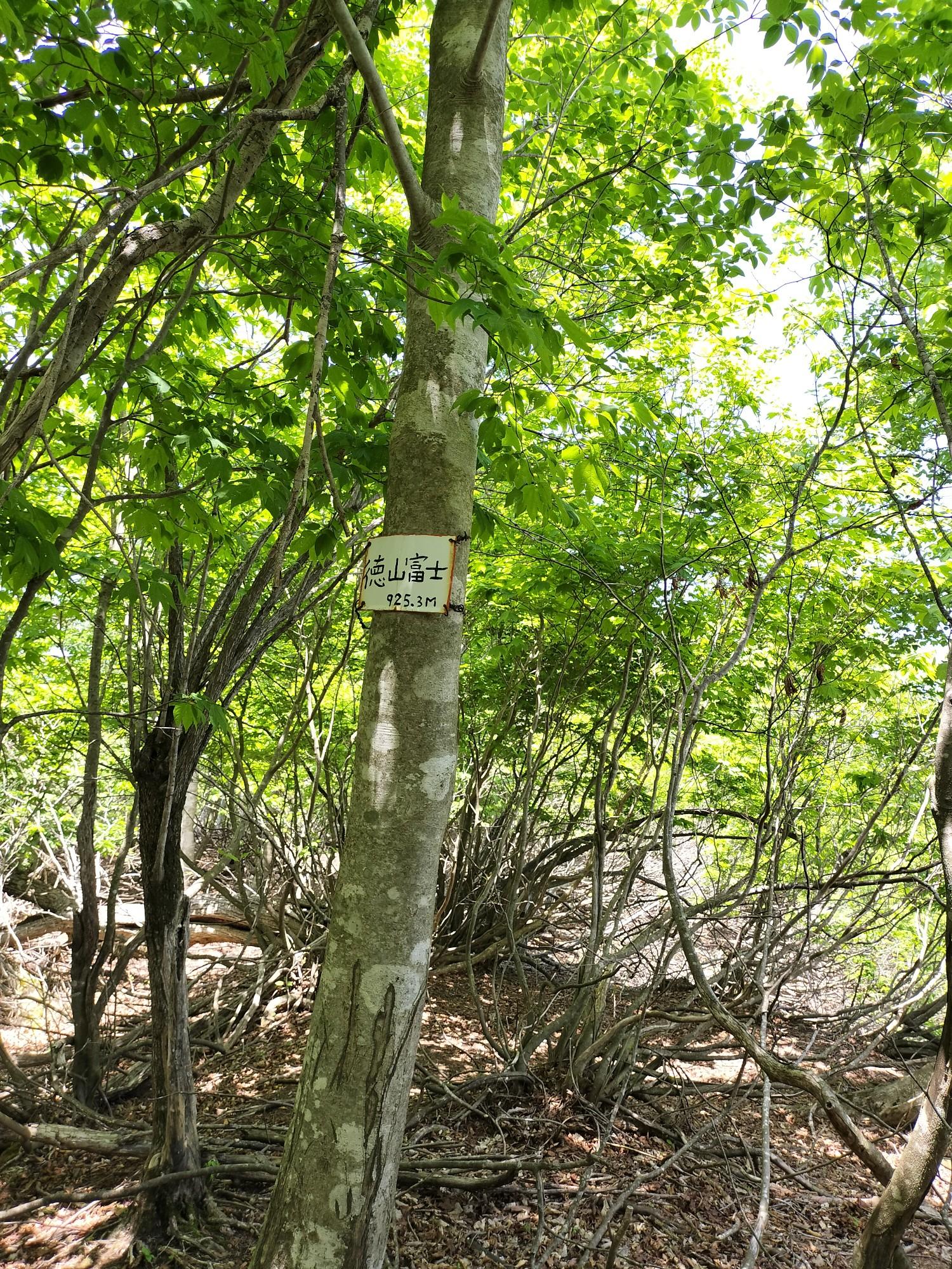 徳山富士 / inojunさんの大谷山・滝谷山・城ヶ峰の活動データ | YAMAP / ヤマップ