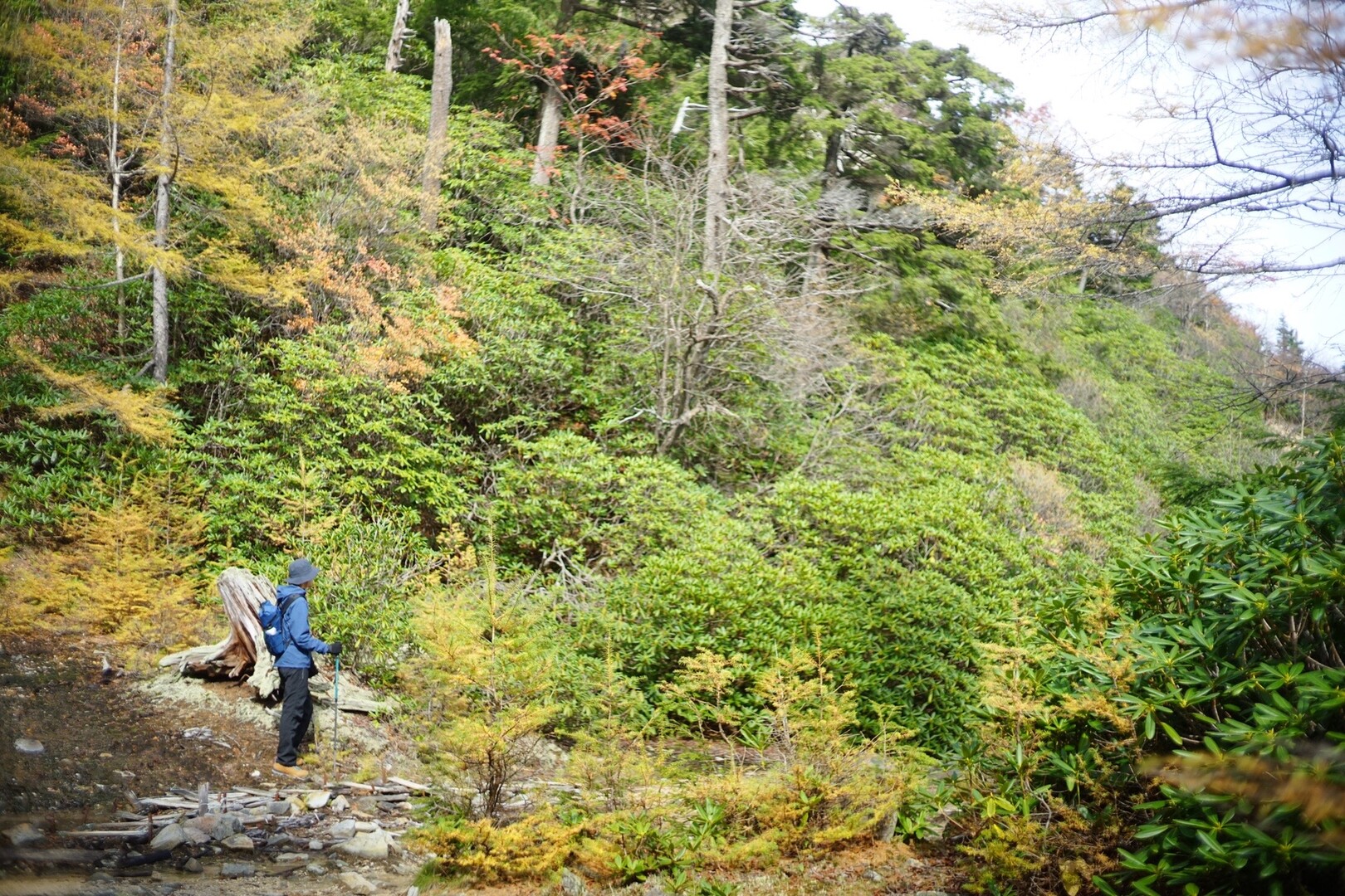 八ヶ岳本沢温泉テン泊 人生初の野天混浴風呂体験 Saorin 写真企画室ホトリさんの八ヶ岳 赤岳 硫黄岳 天狗岳 の活動データ Yamap ヤマップ