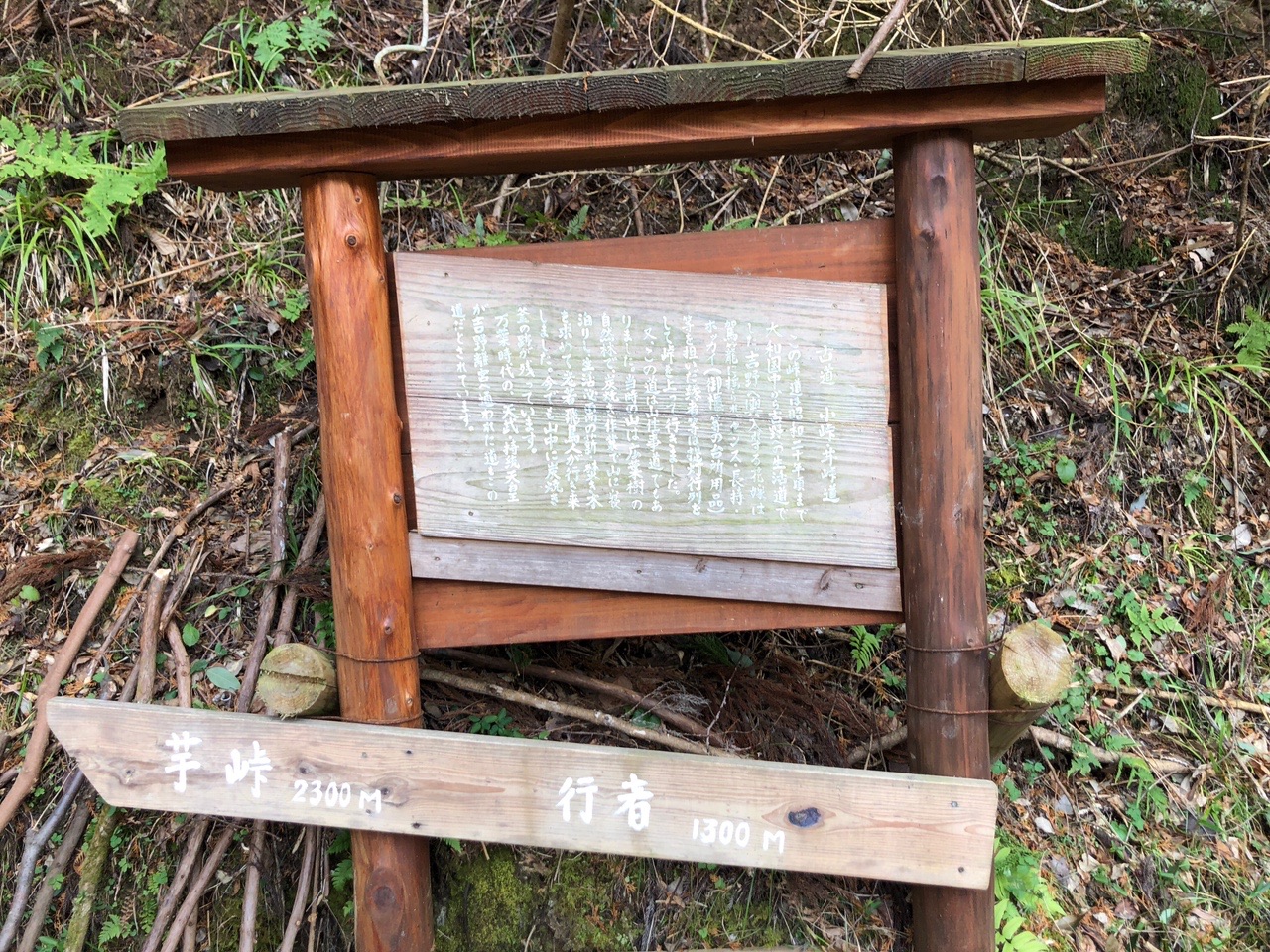 高取山 解説板が薄くて見えなかったですね。  確か行幸の解説だったような