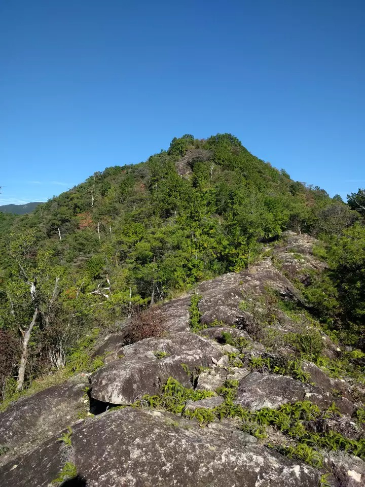 愛知の山P 愛知の山 | YAMAP / ヤマップ