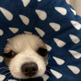 ダイフク丸
