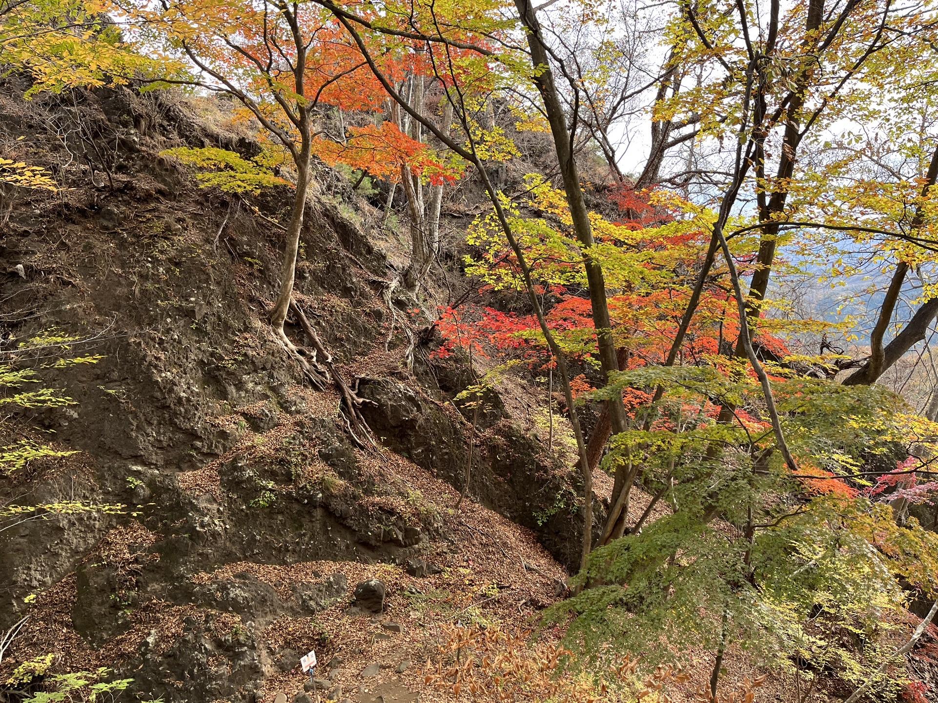 岩櫃山初秋 岩櫃山 往復コースの地図・登山ルート・登山口情報 | YAMAP