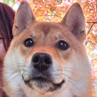 なおみやん