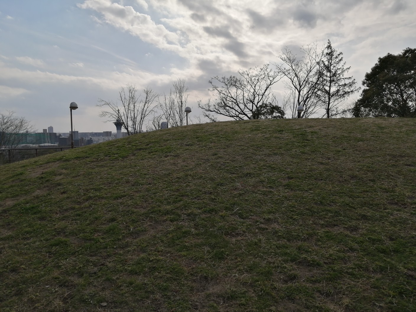 鶴見新山 ランさんの大阪市の活動データ Yamap ヤマップ