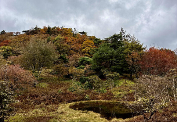 赤ゾレ山の最新登山情報 / 人気の登山ルート、写真、天気など | YAMAP