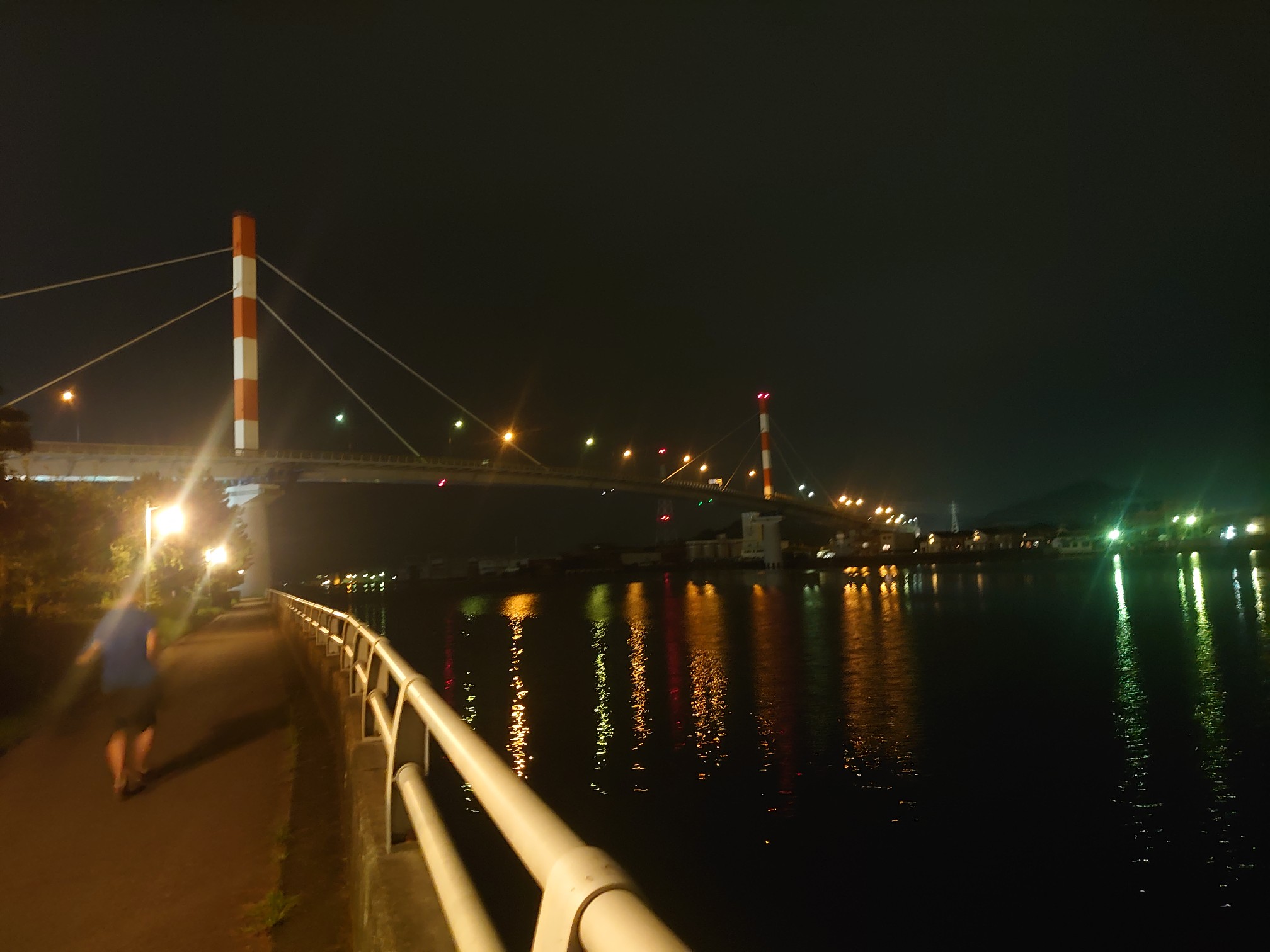 徳島市みなと公園と眉山 さとやまさんの徳島市の活動日記 Yamap ヤマップ