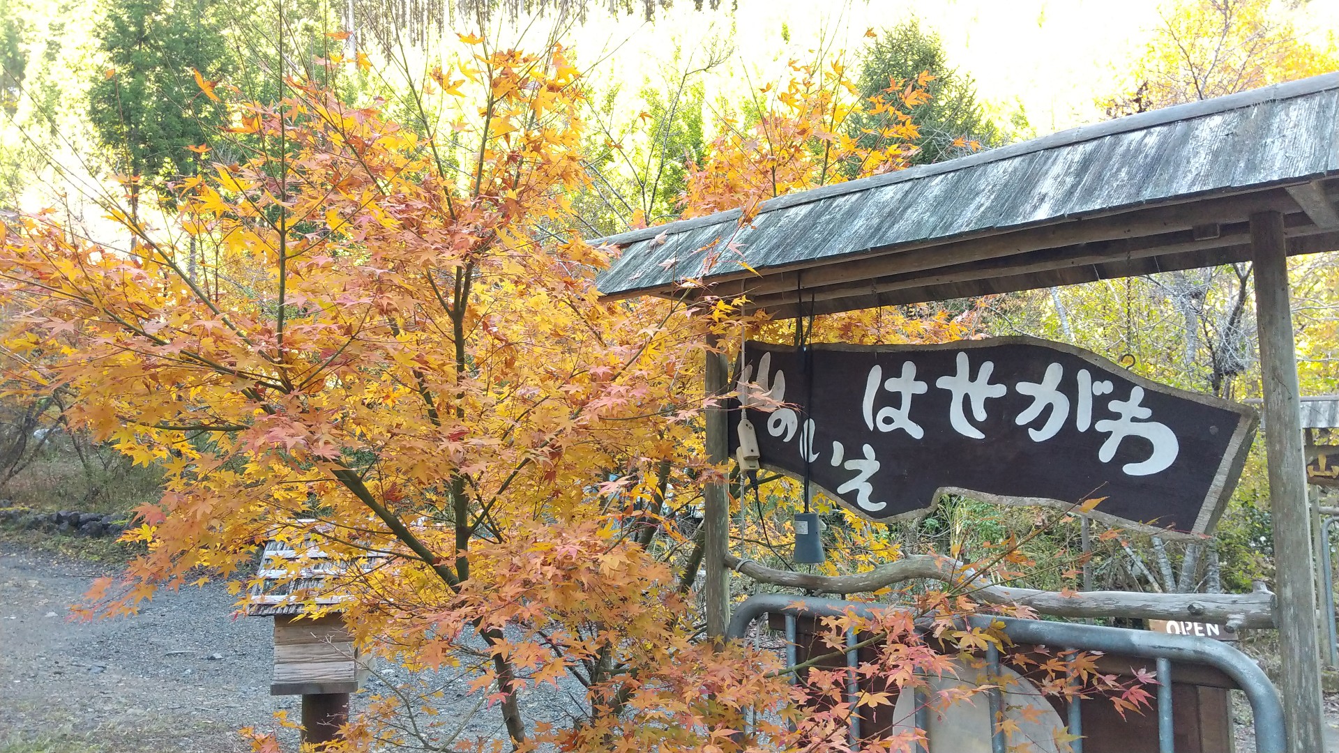 京都一周トレイル 北山46 二ノ瀬駅 北山87 栂ノ尾バス停 100座目達成 19 11 23 きっしゃんさんの京都一周トレイルの活動データ Yamap ヤマップ